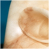 Plants: image 7 0f 20 thumb