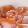 Plants: image 9 0f 20 thumb