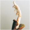 Plants: image 15 0f 20 thumb