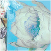Plants: image 1 0f 20 thumb