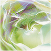 Plants: image 2 0f 20 thumb