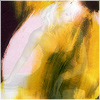 Plants: image 15 0f 20 thumb