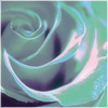 Plants: image 11 0f 20 thumb