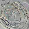 Plants: image 14 0f 20 thumb