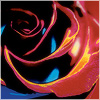 Plants: image 1 0f 20 thumb