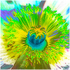 Plants: image 8 0f 20 thumb