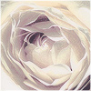 Plants: image 6 0f 20 thumb
