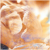Plants: image 6 0f 20 thumb