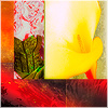 Plants: image 12 0f 20 thumb