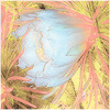 Plants: image 15 0f 20 thumb