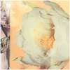 Plants: image 20 0f 20 thumb