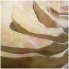 Plants: image 7 0f 20 thumb