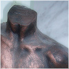 Plants: image 10 0f 20 thumb